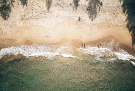 Tree Shadows & the Beach